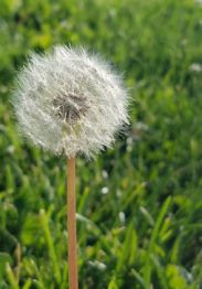 2016-06-21_10-25-11blog