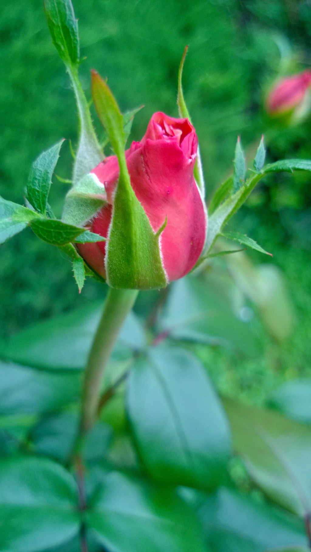 Discover Your Happiness