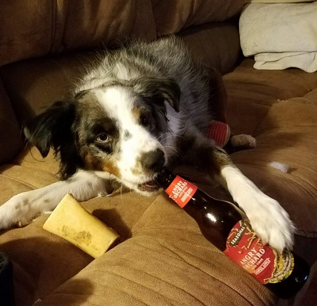 Oberon’s Antics | 1st Birthday-9.17.2016