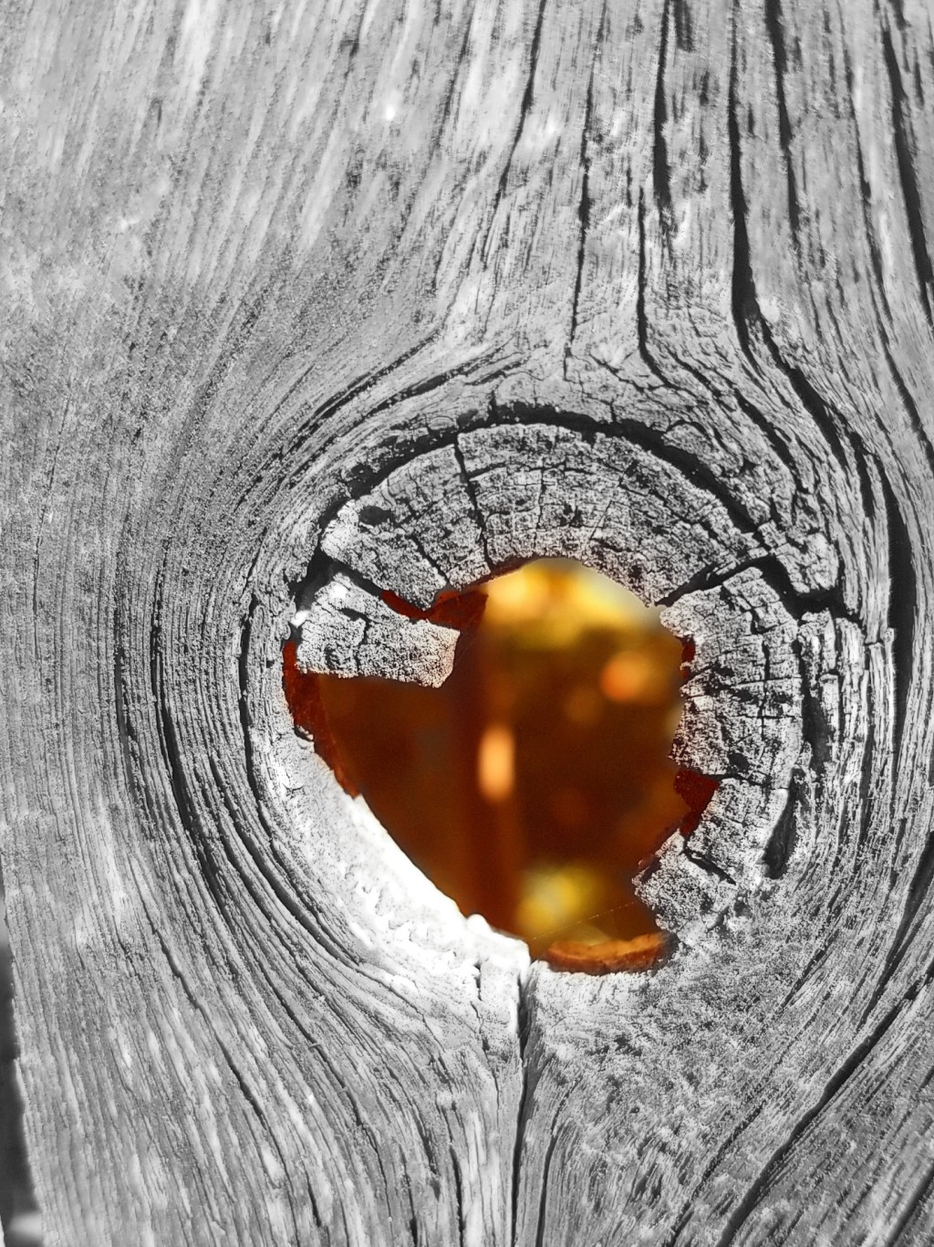 Fall Lies Just Beyond the&nbsp;Fence