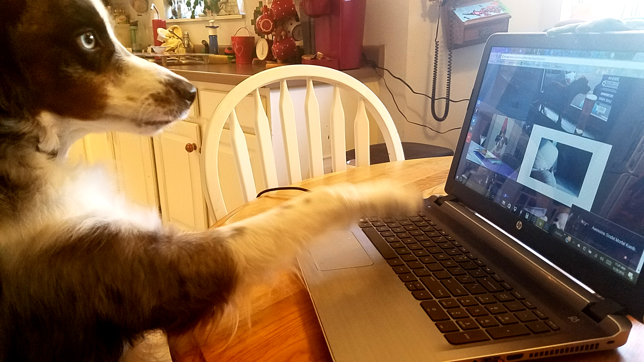 20160929_oberonandcomputer