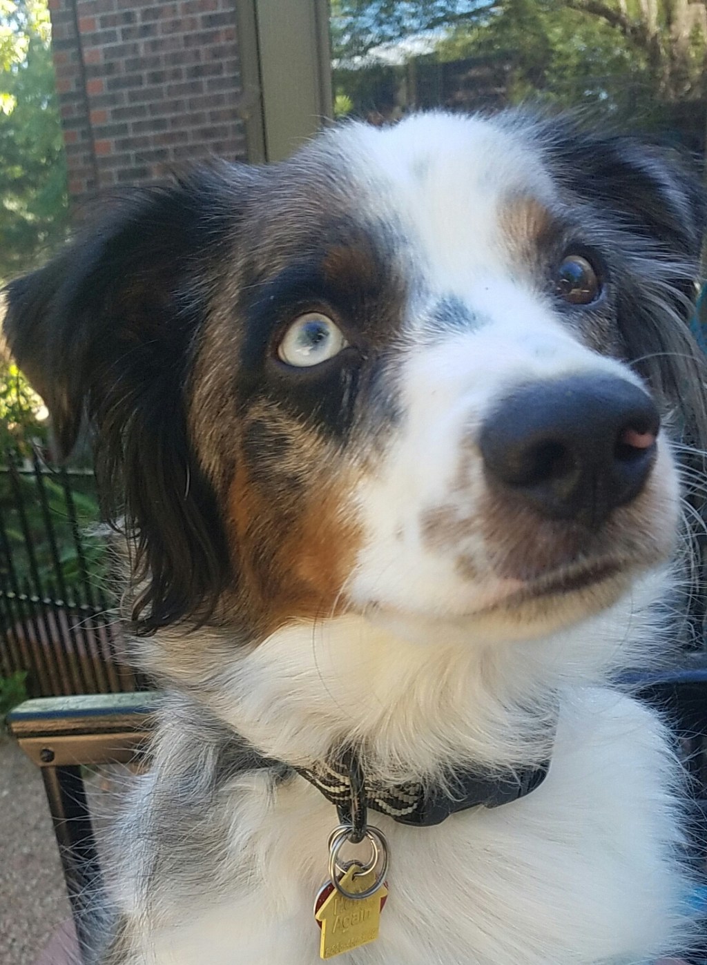 Cee’s Fun Foto Challenge:&nbsp;Eyes