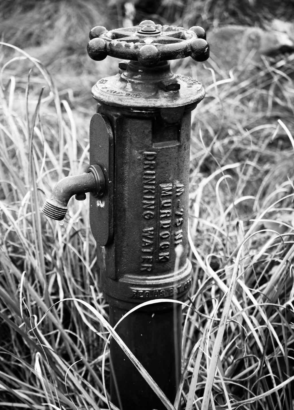 Cee’s Photo Challenge Black and White Isolate&nbsp;Subject