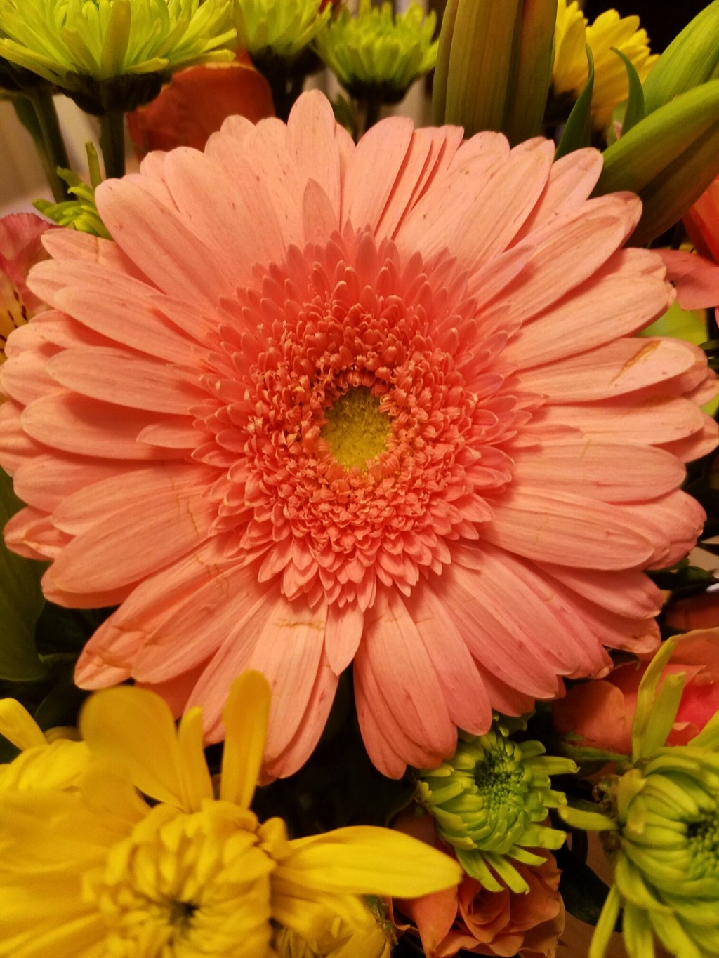 Flower of the Day – September 19,&nbsp;2016