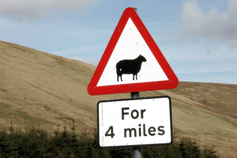 1959406_4560634950590_7255403813251560049_n