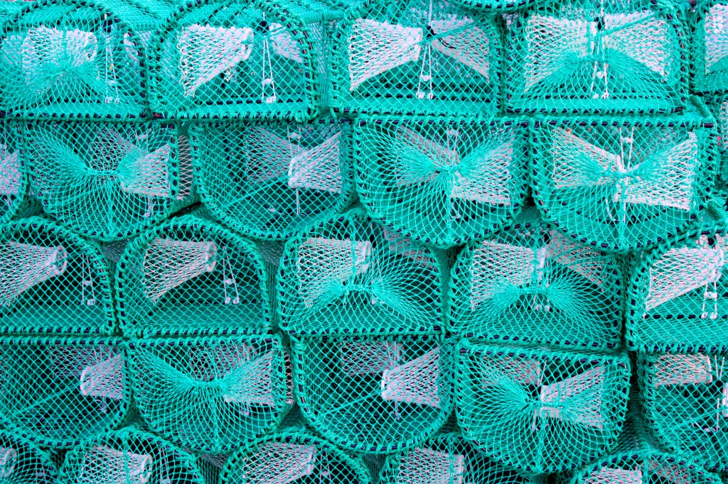 Daily Post Weekly Photo Challenge:&nbsp;Order