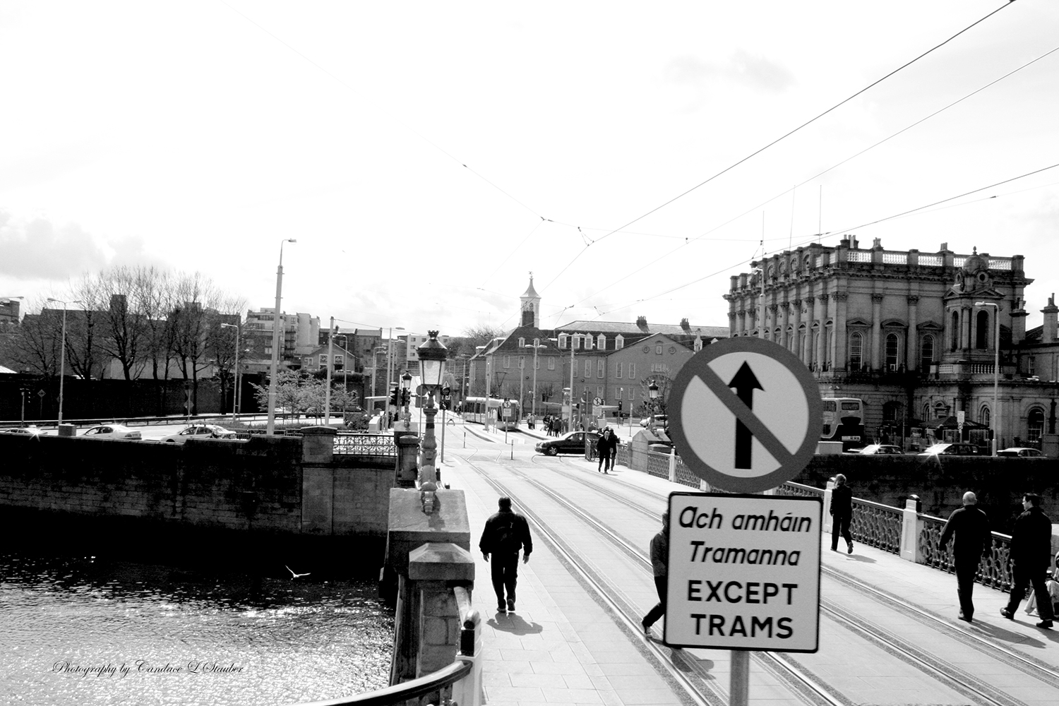 20090407_irishbridge1500-1