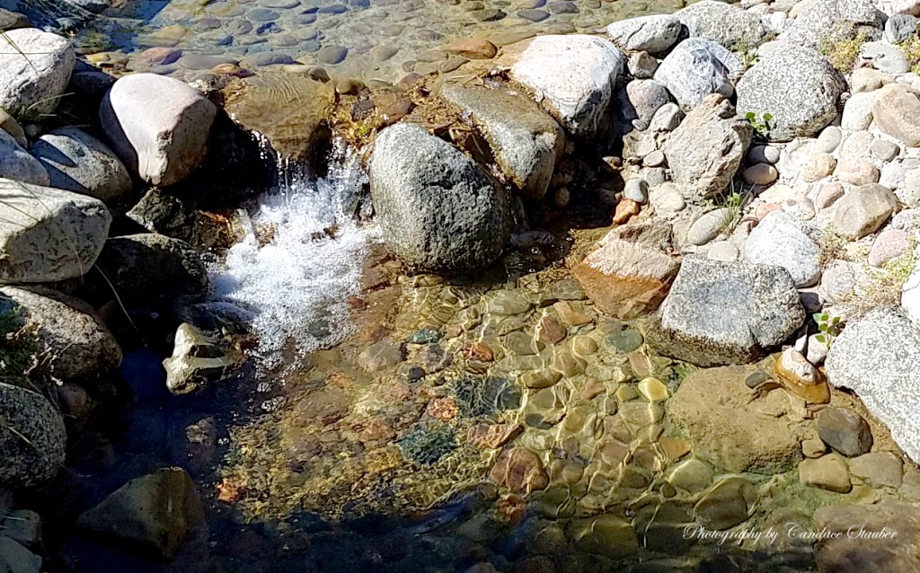 SHINE: The Daily Post Photo Challenge, 21 October&nbsp;2016