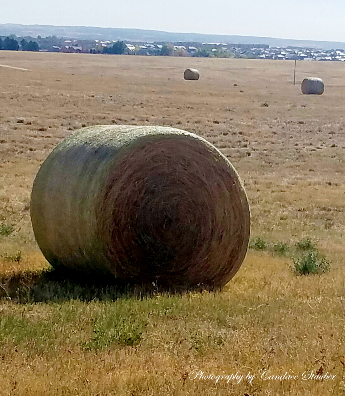 20161018_autumn-harvest