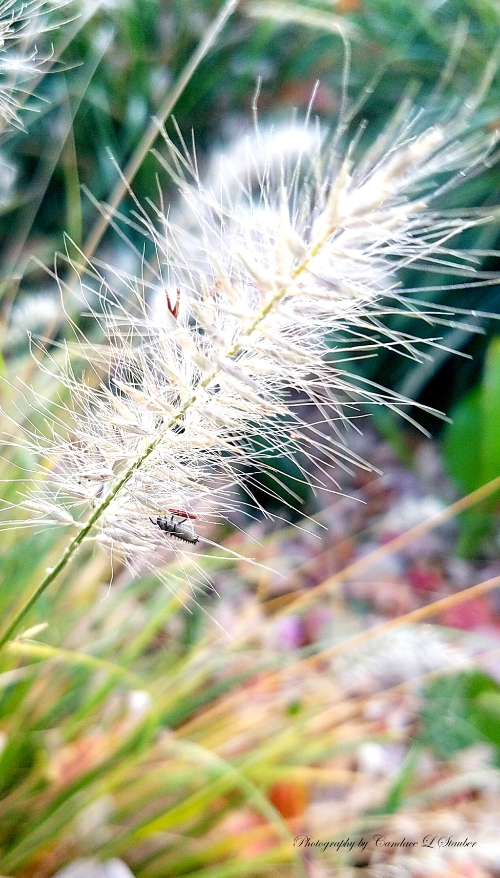 Macro Moments: Week&nbsp;16