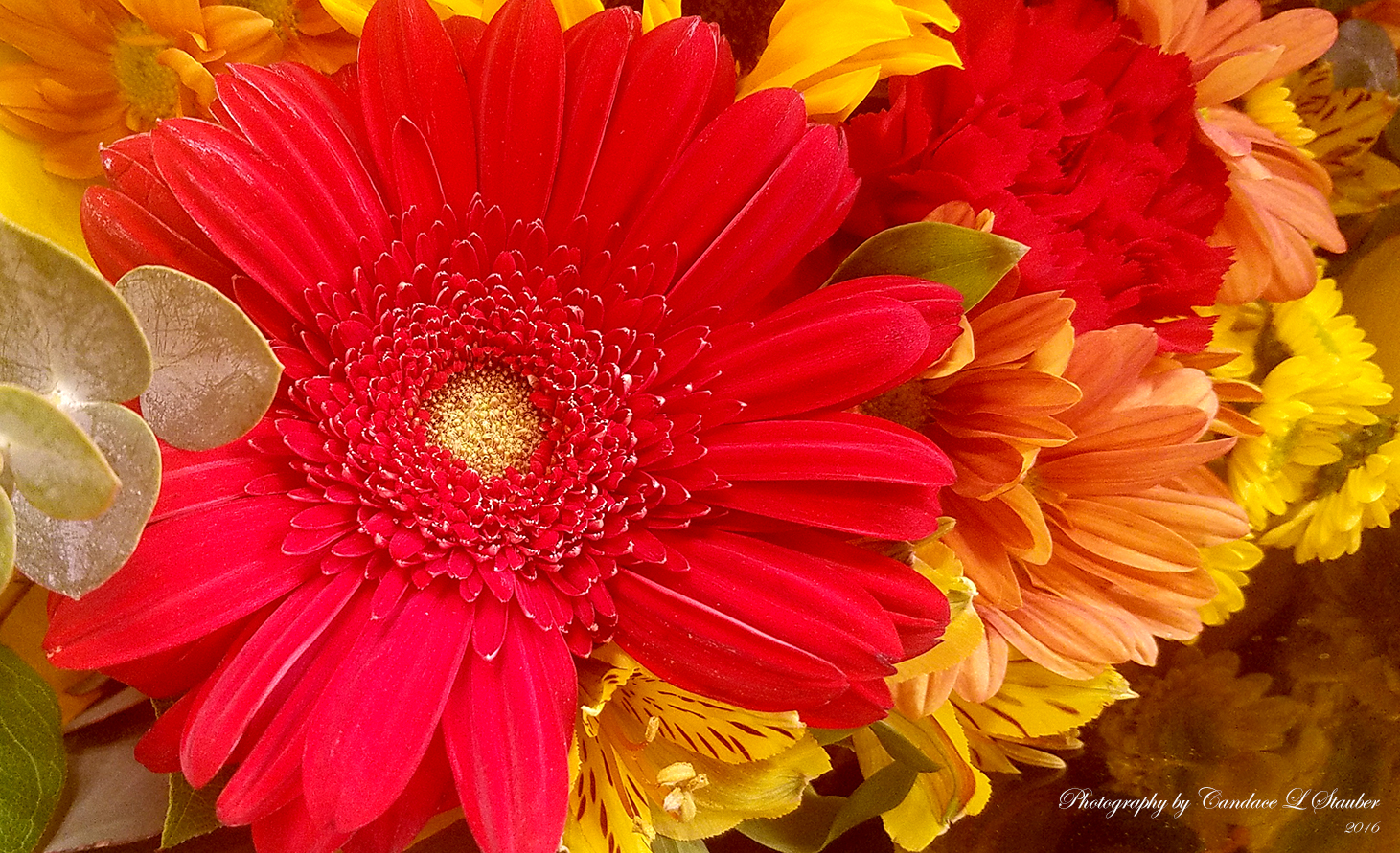 20161024_fallbouquet1500