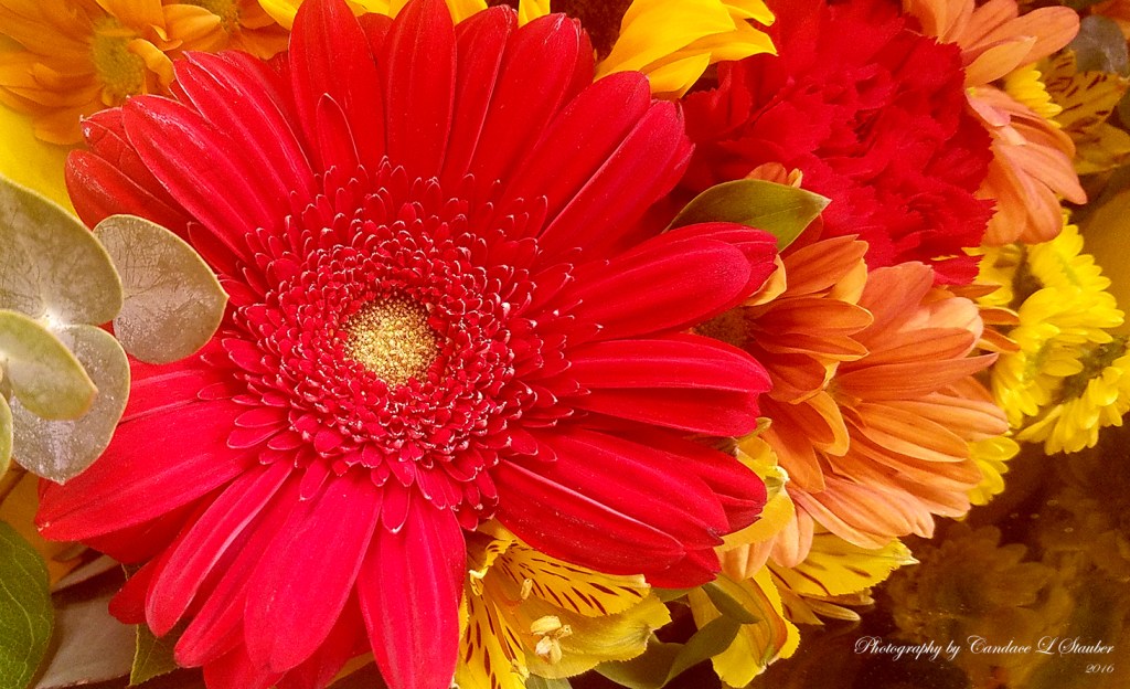Flower of the Day-Fall&nbsp;Bouquet