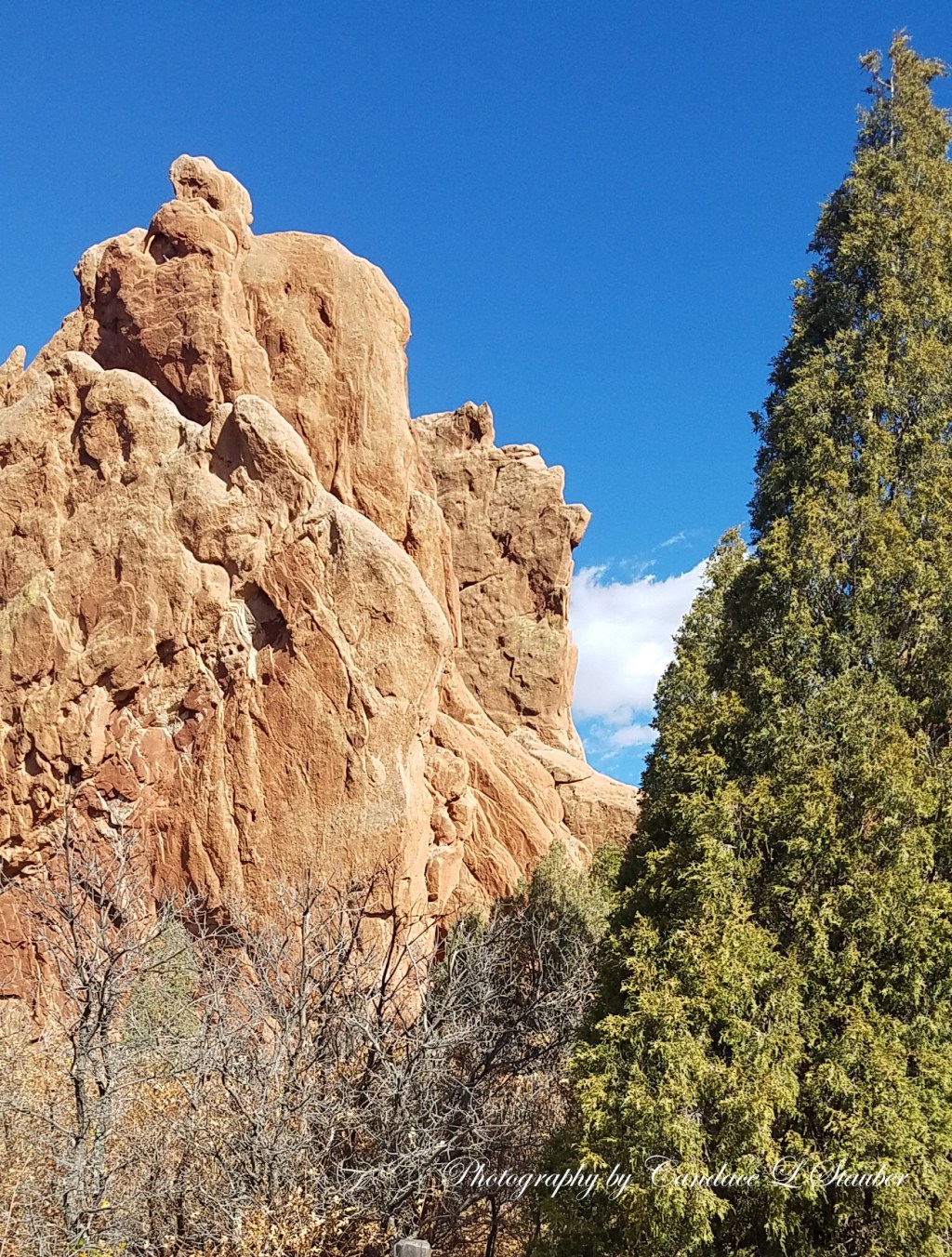 Photo Challenge: Transmogrify