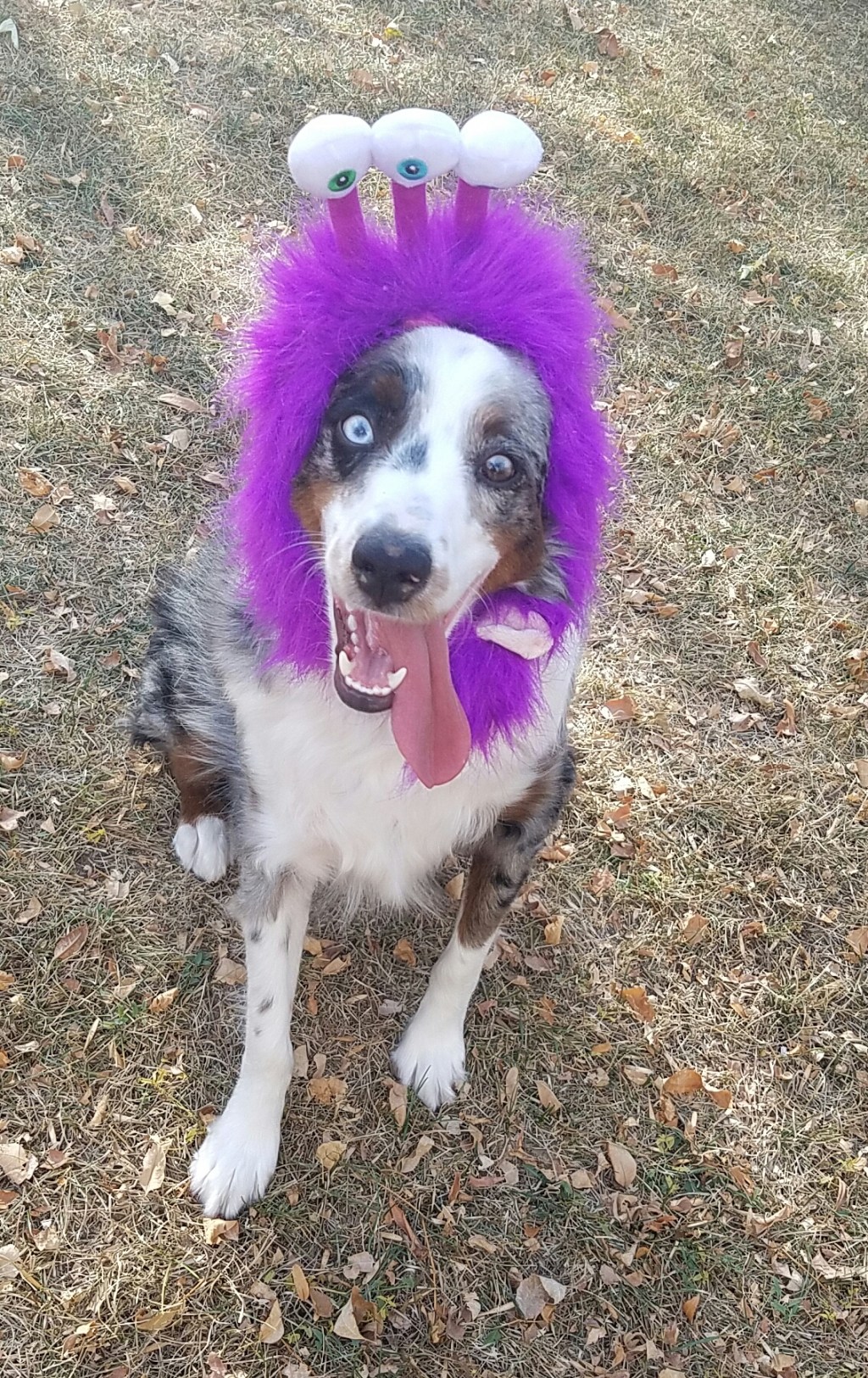 JNW’s Halloween Challenge&nbsp;-Creature