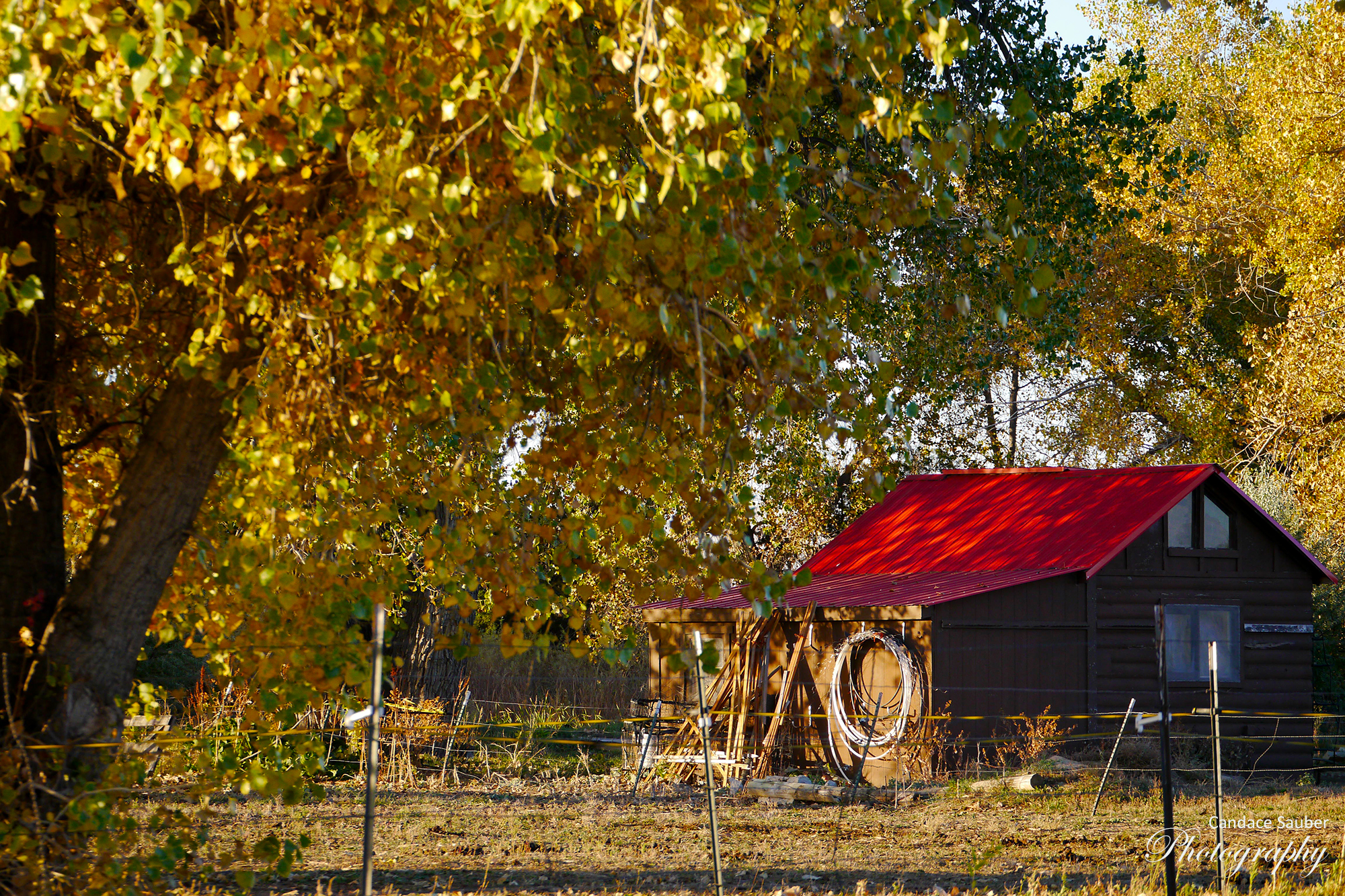 22045864009_coloradobarn1-2000