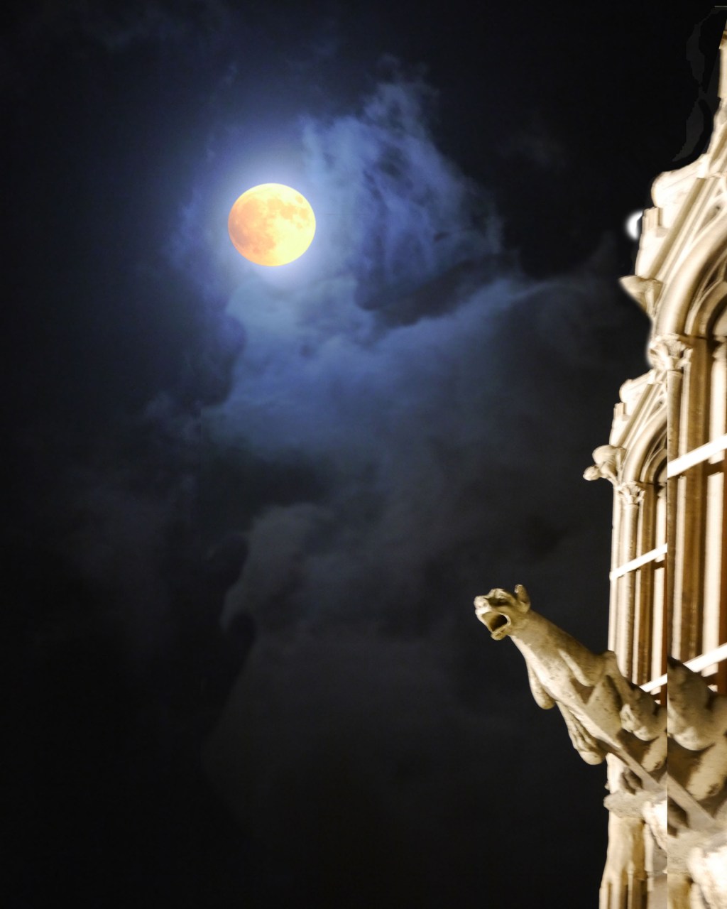 Gargoyles of Notre&nbsp;Dame