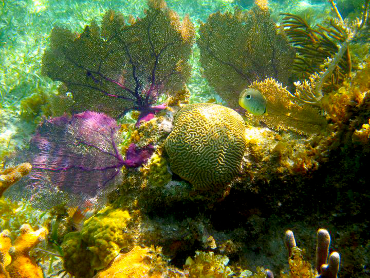 Water, Water Everywhere