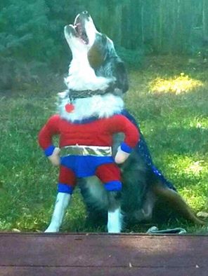 Oberon’s Antics –&nbsp;Superhero