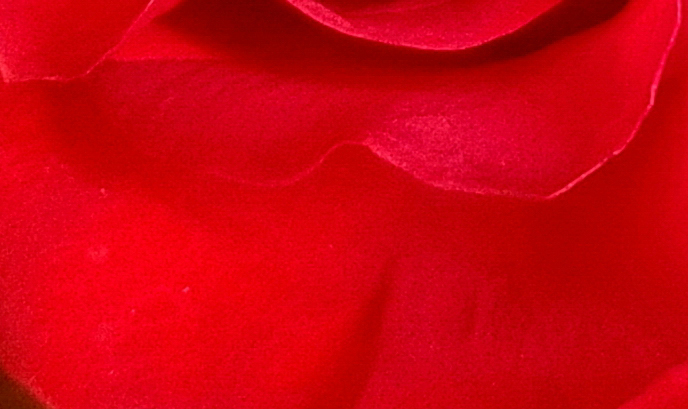 The Perilous State of&nbsp;Hearts