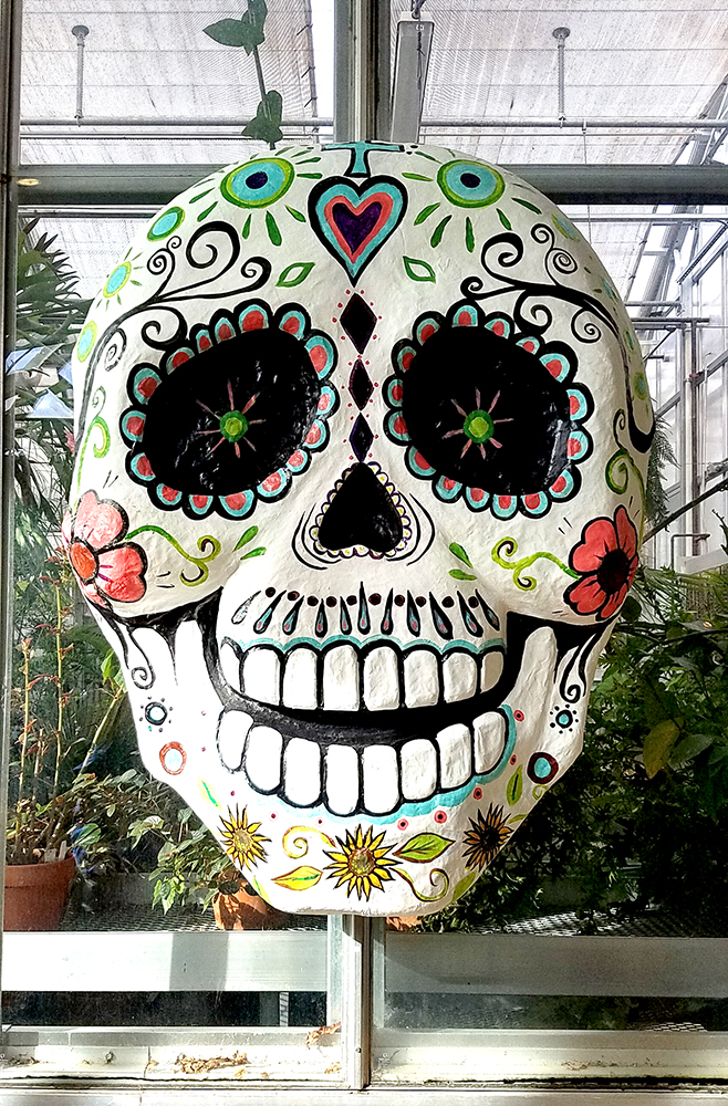 Discover Challenge- One, Two,&nbsp;Three!