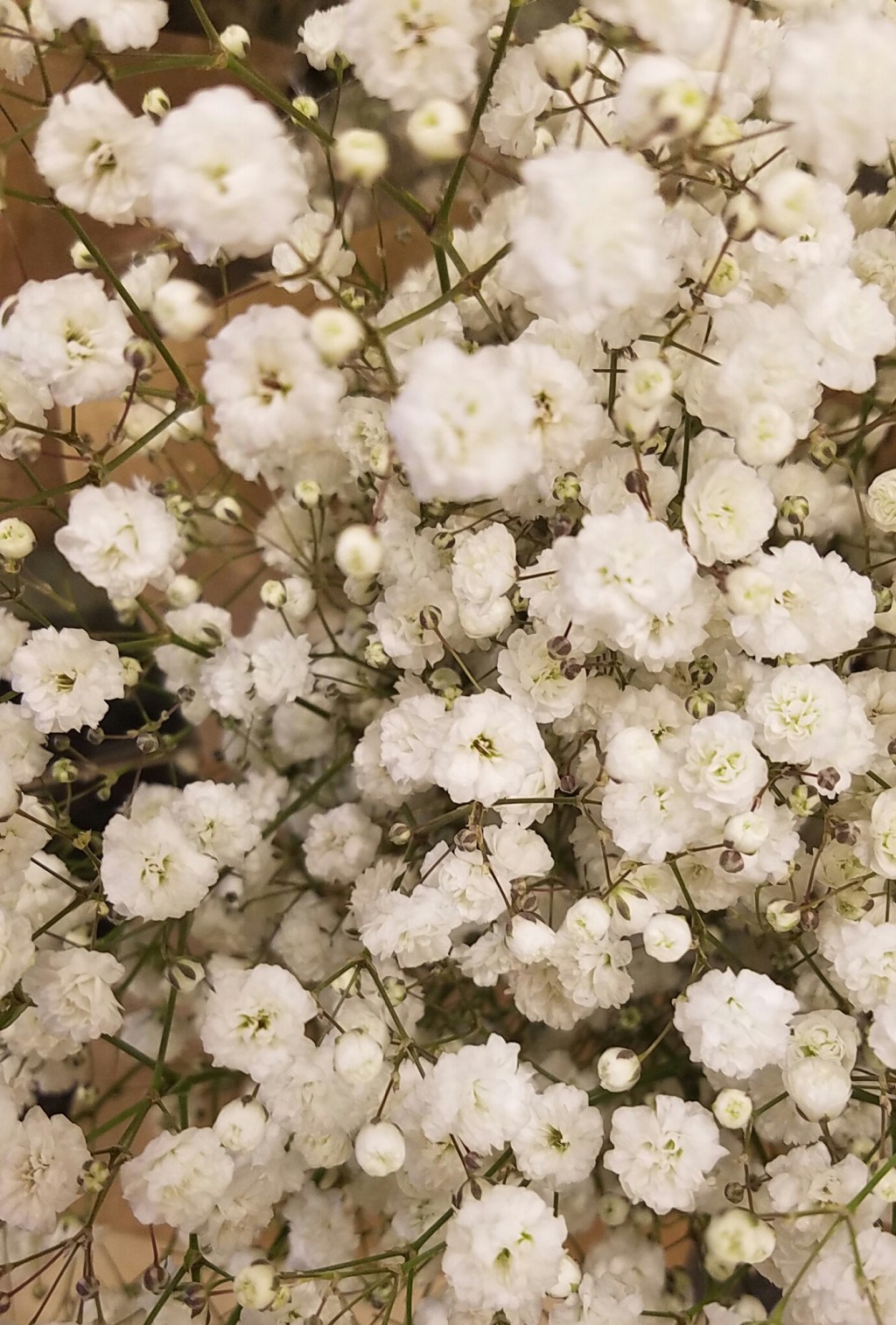 Tuesdays of Texture | Week 47 of&nbsp;2016