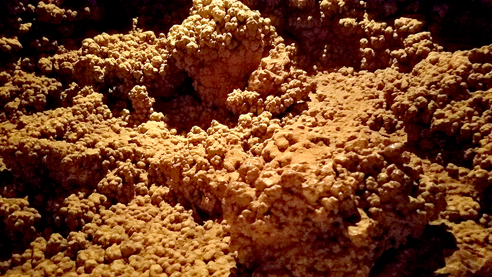 Tuesdays of Texture-Week 49 of&nbsp;2016