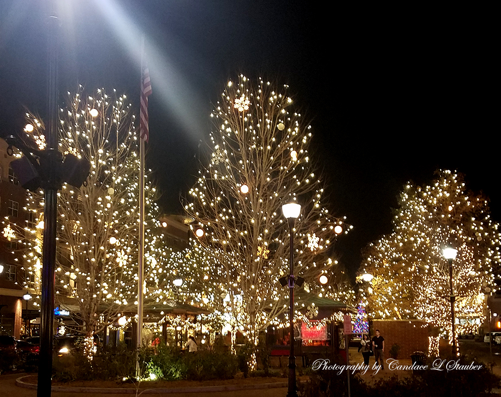 52 Weeks Photo Challenge:Week 15- Christmas -November 21,&nbsp;2016