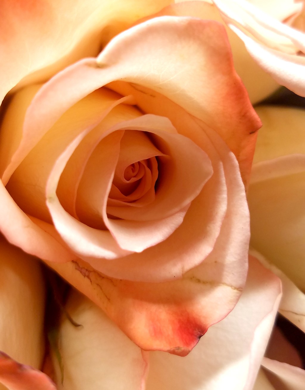 Nothing is perfect…