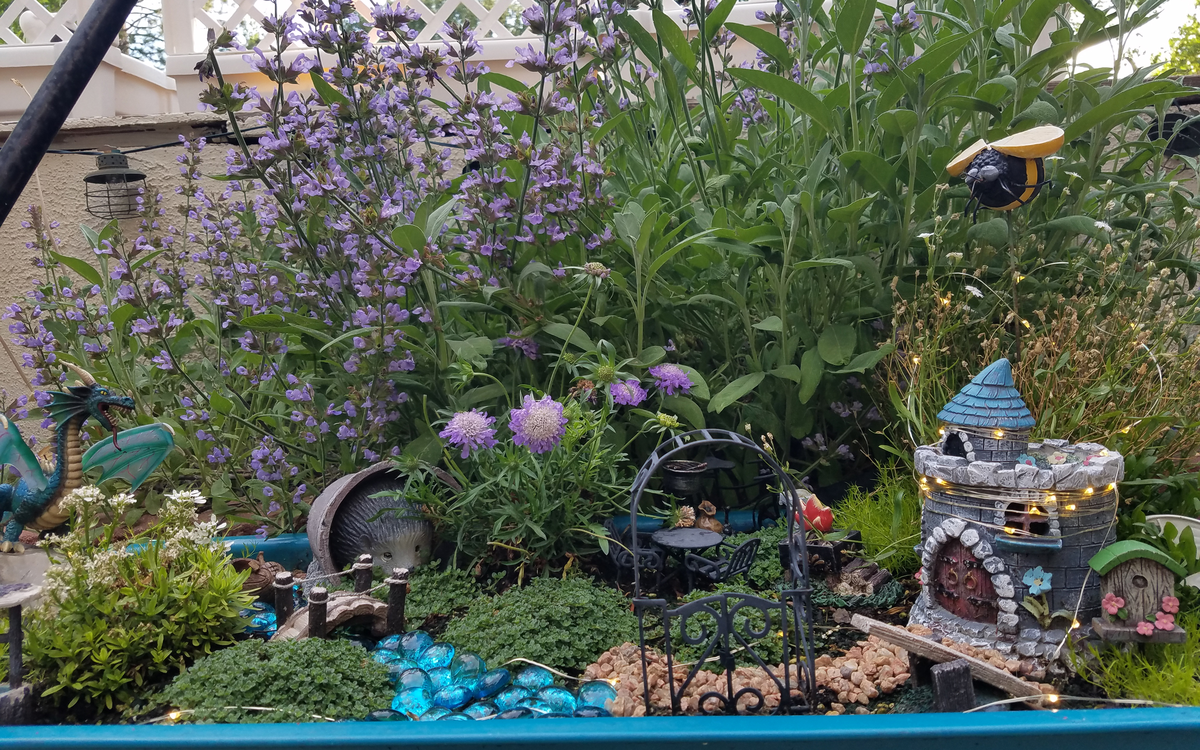 fairygardens120160612_190609