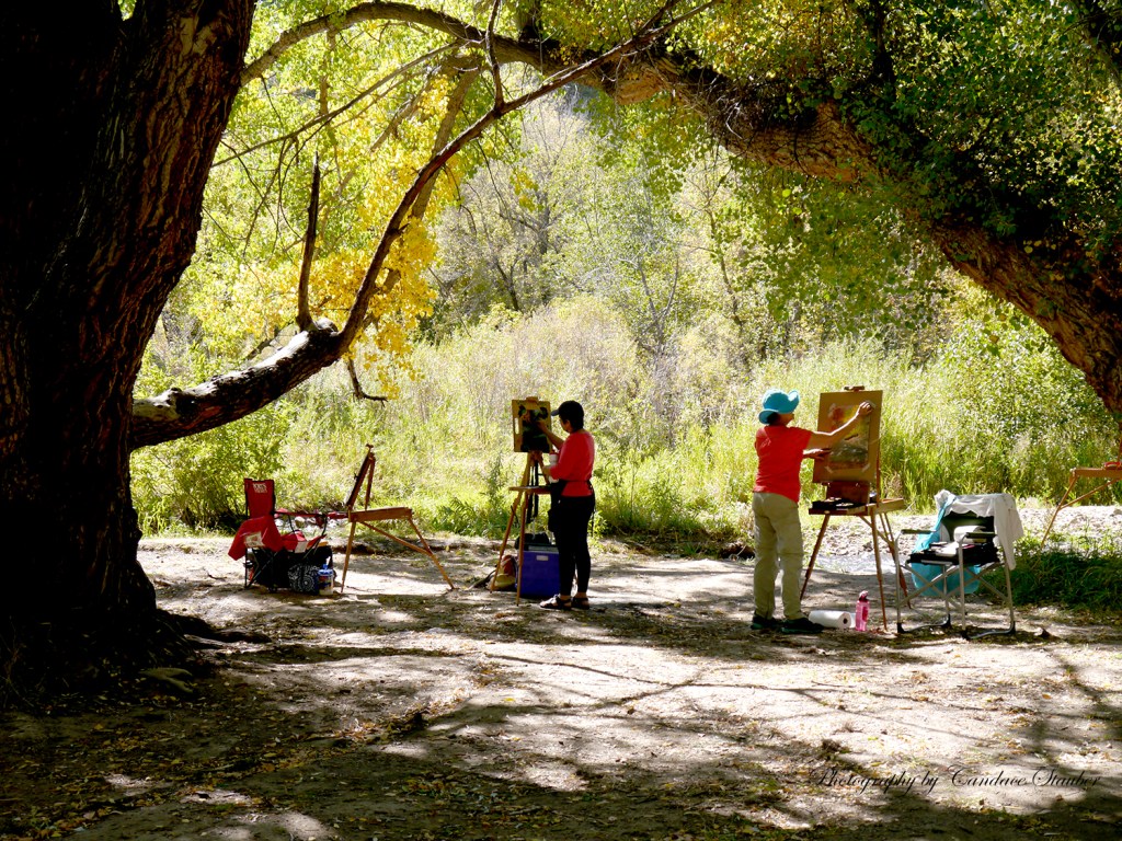 Artists Under the&nbsp;Trees