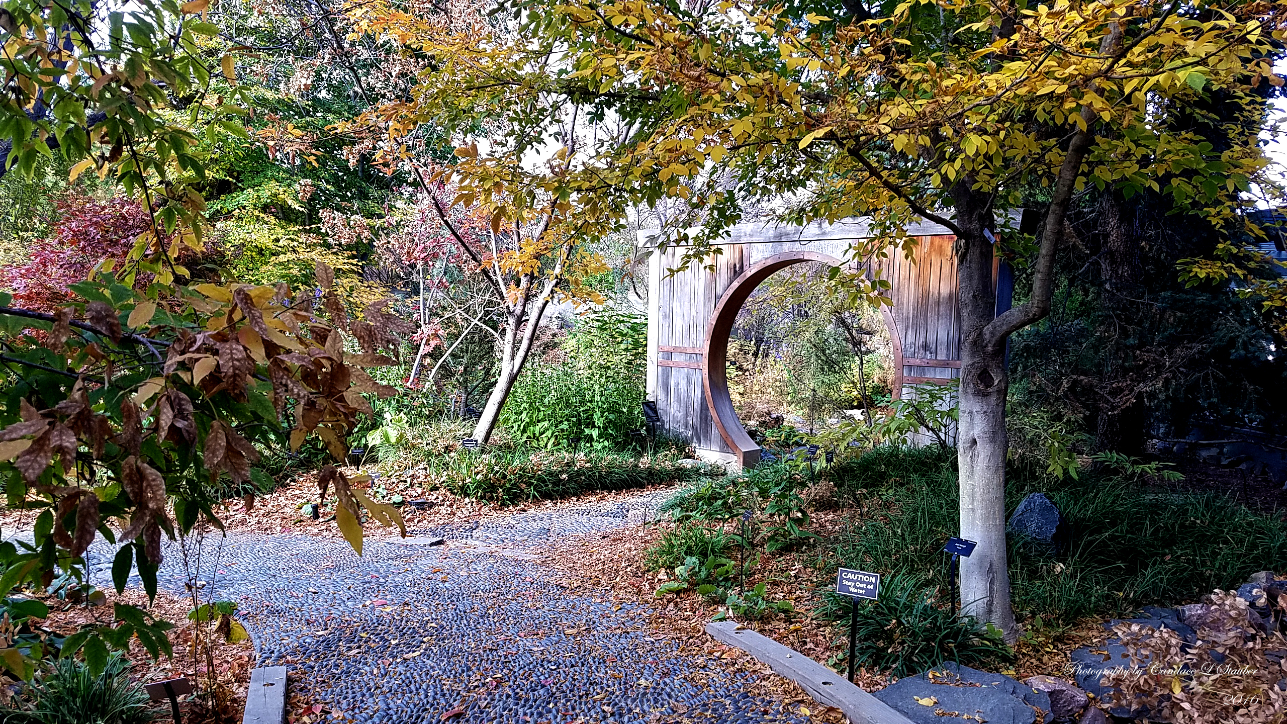 landscape-20161105_100420