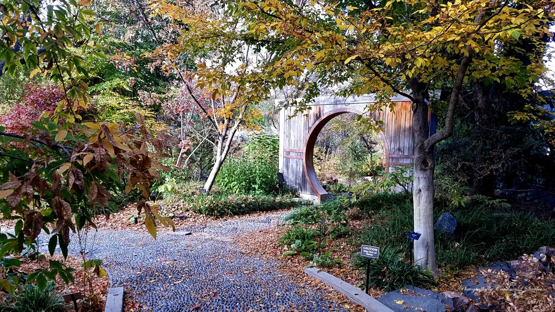 landscape-20161105_100420