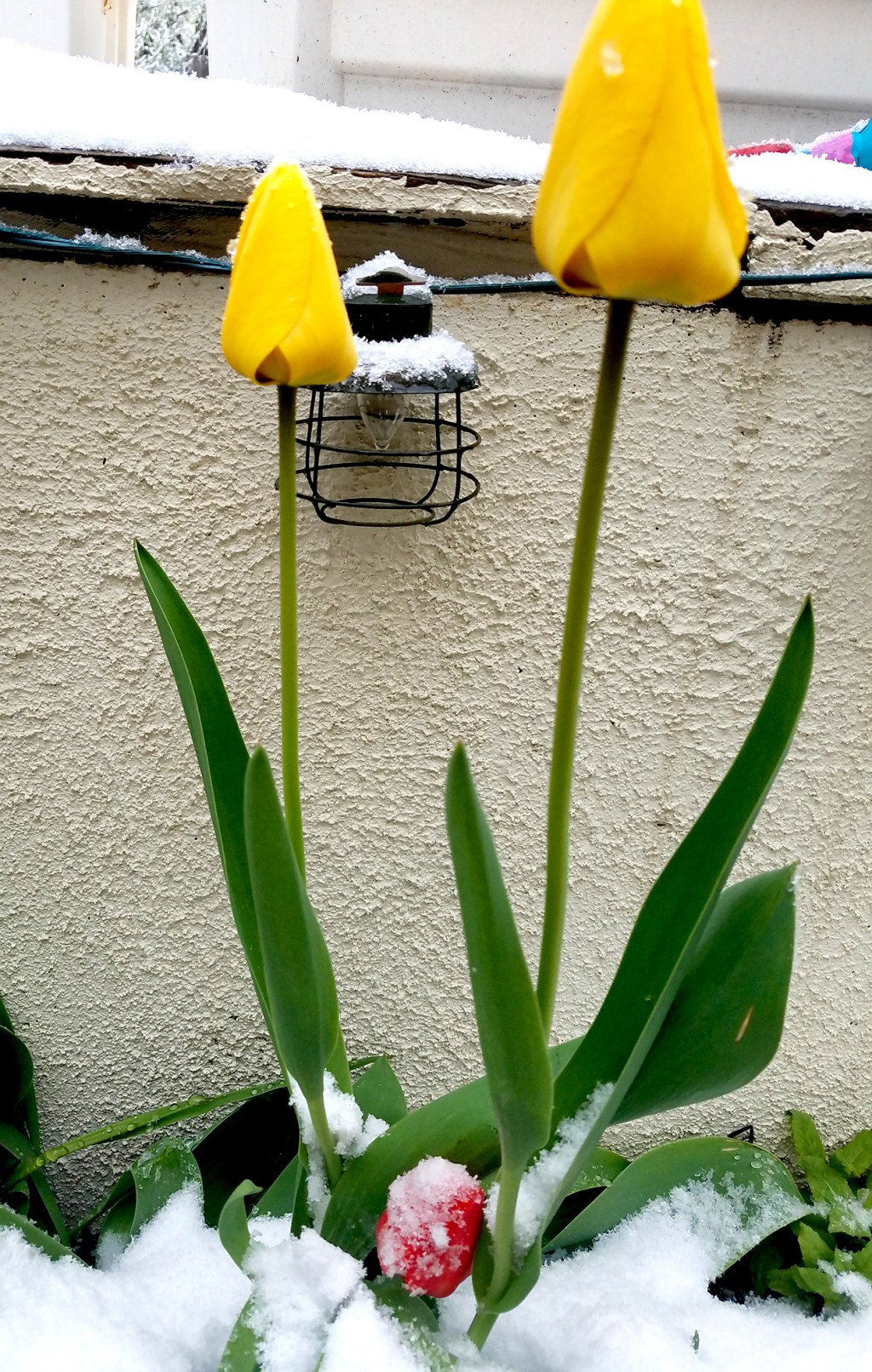 Weekly Weather: Spring