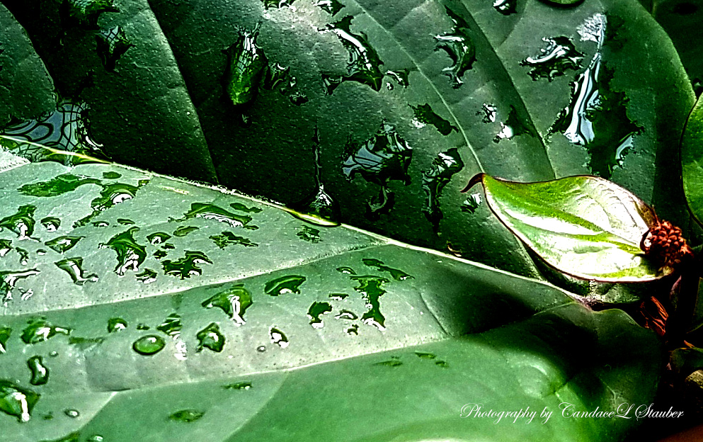 Macro Moments Challenge: Week&nbsp;18