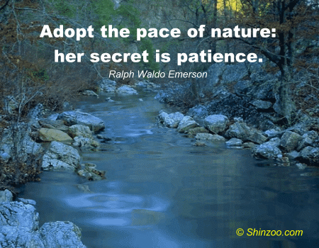 01-patience-quotes