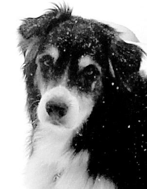 2015-02-22-hunterwinter-1bw