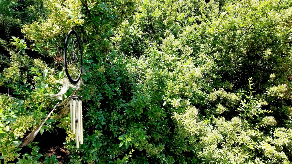 Share Your World – 2016 Week&nbsp;49