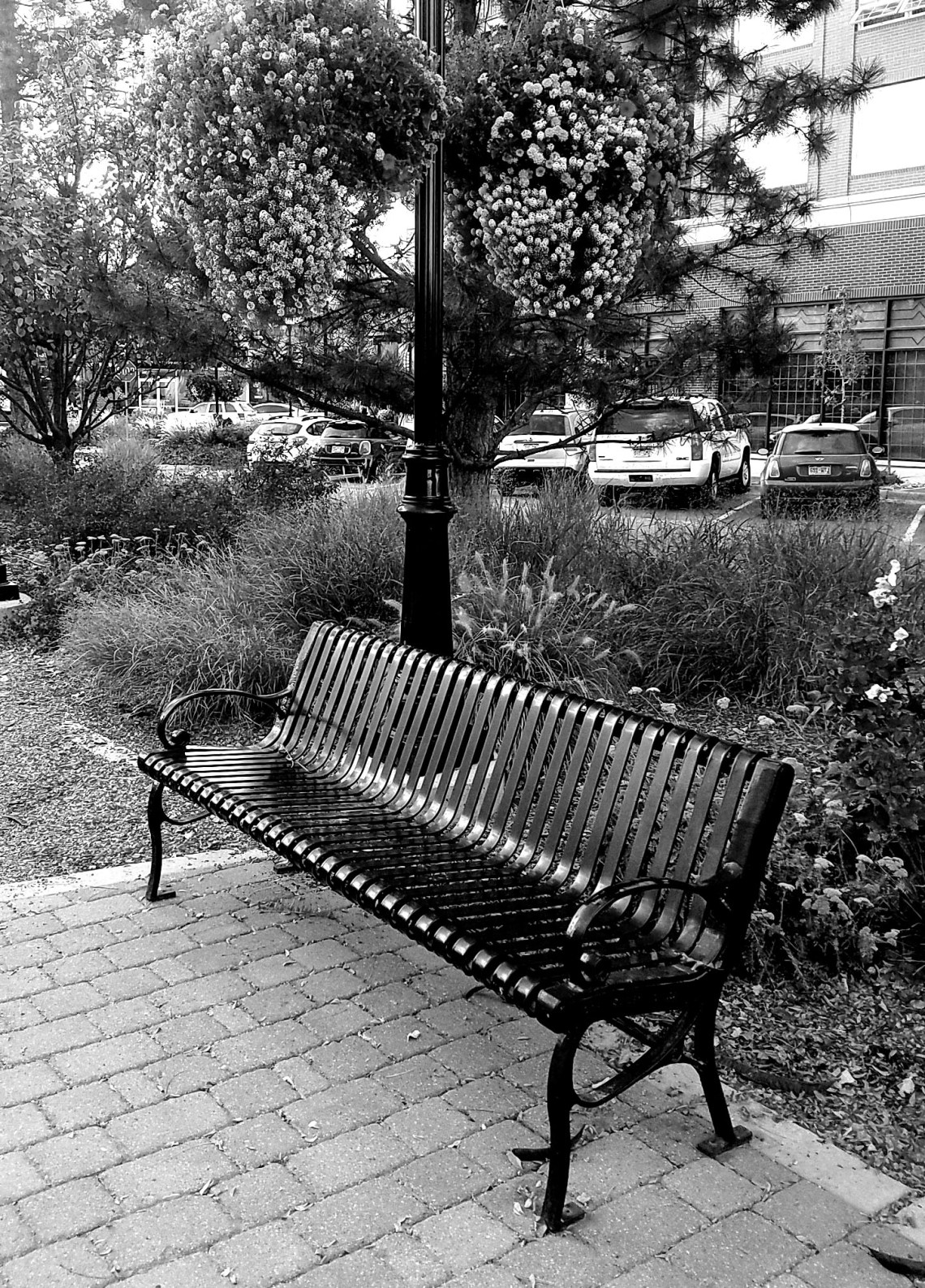 20161023_1-parkbench