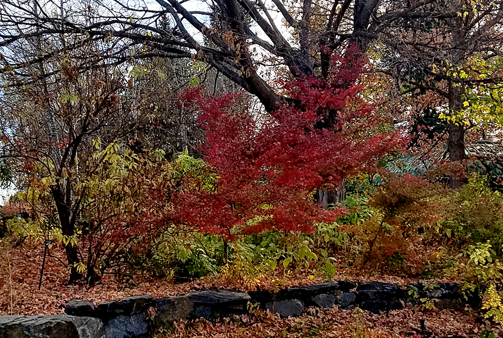 Weekly-Weather-Autumn