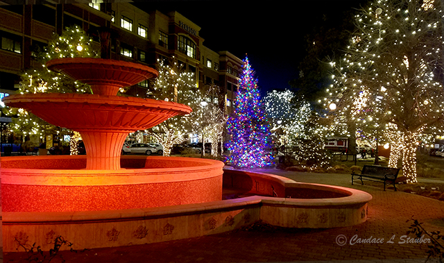 Sunday Trees: Merry&nbsp;Christmas