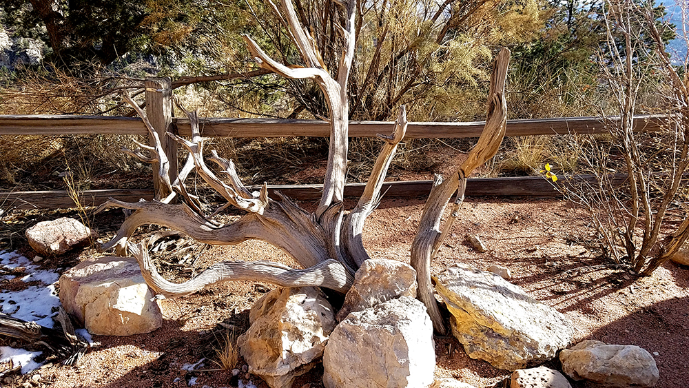 arid-colorado-20161119_1255231000