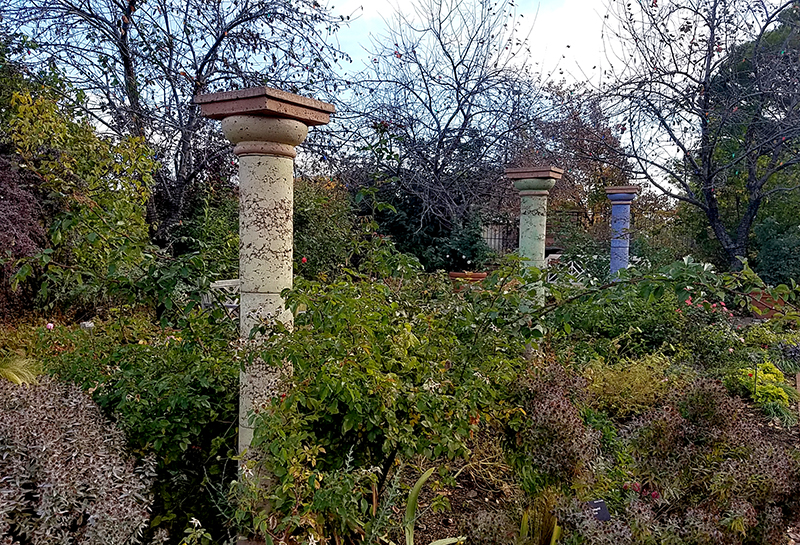 dbg20161105_090930-800jpg