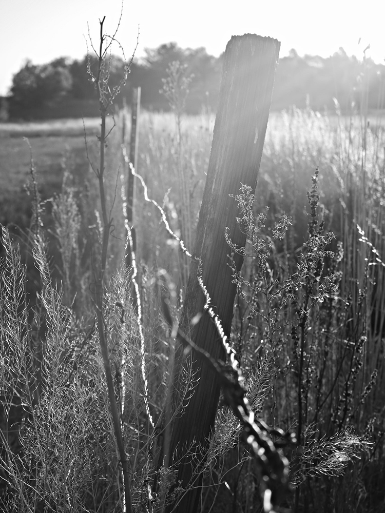 Daily Word Prompt-&nbsp;Abide