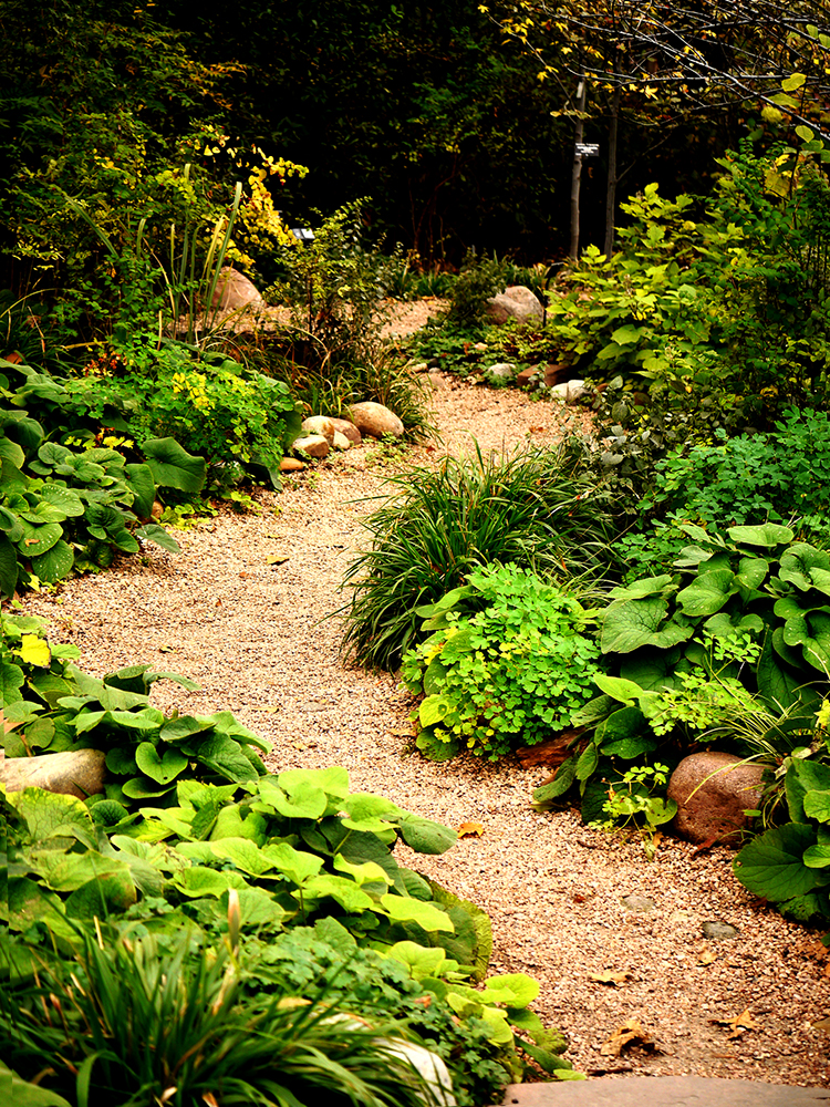 Garden Pathway