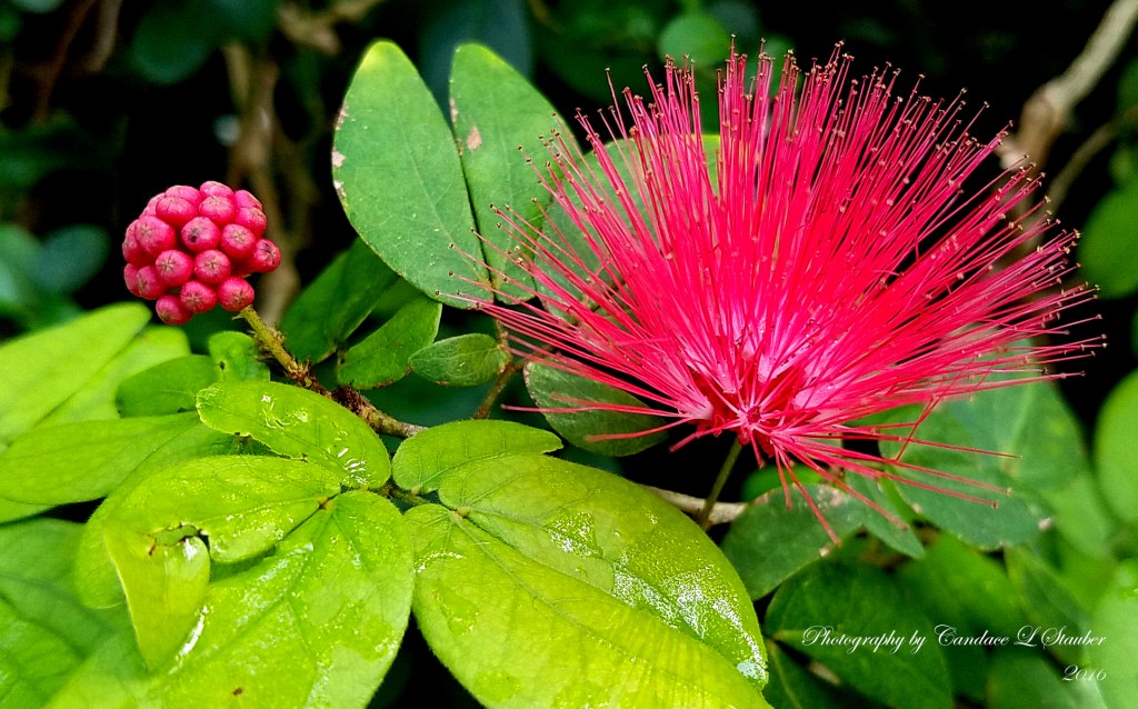 Macro Moments: Week&nbsp;21