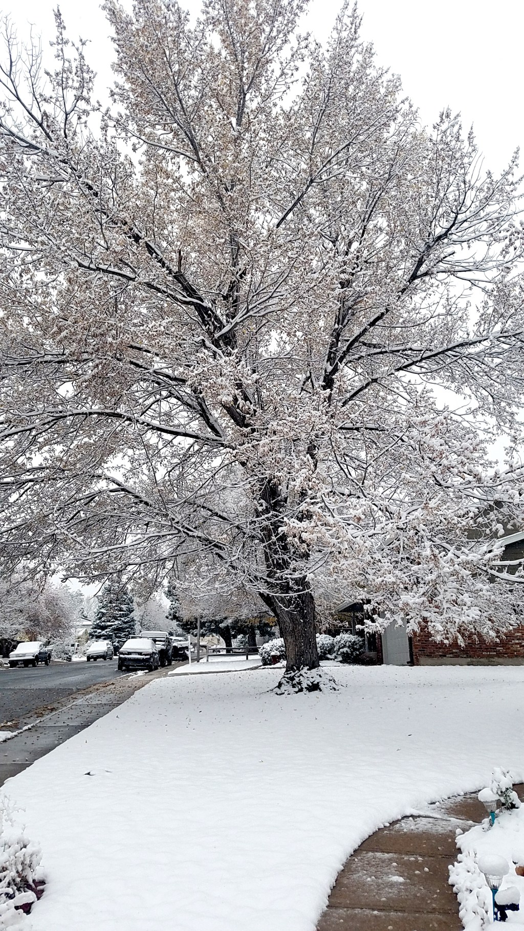 A Photo A Week Challenge:&nbsp;White