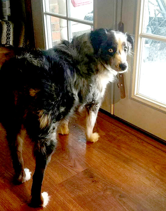 oberonwinter12182016