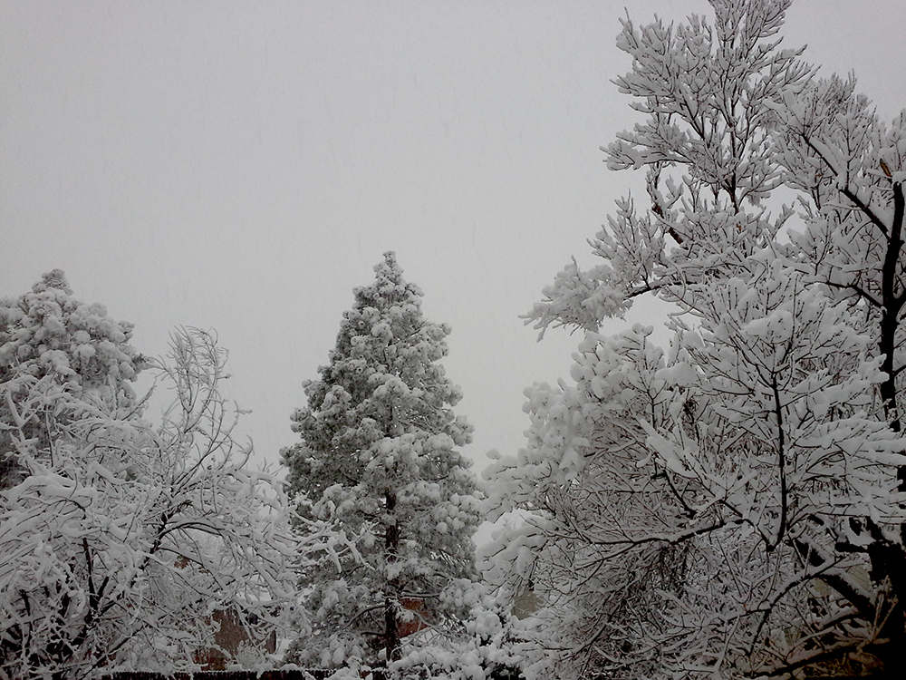 snowydecemberhome-1000