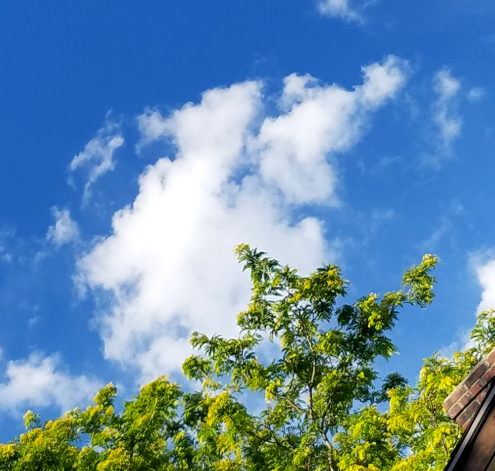 Watchers and Messengers