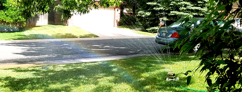 Gnomes under the Summer&nbsp;Rainbow